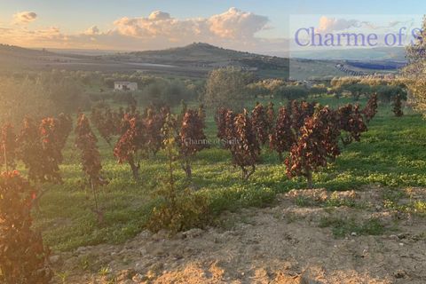 Helårsgrund i Noto, Siracusa, Noto - € 70.000 | Ref: SC 19 - foto 14