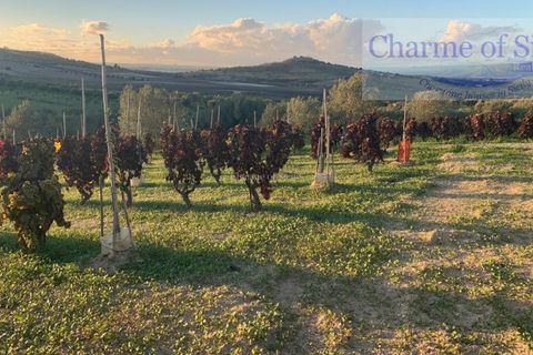 Helårsgrund i Noto, Siracusa, Noto - € 70.000 | Ref: SC 19 - foto 15