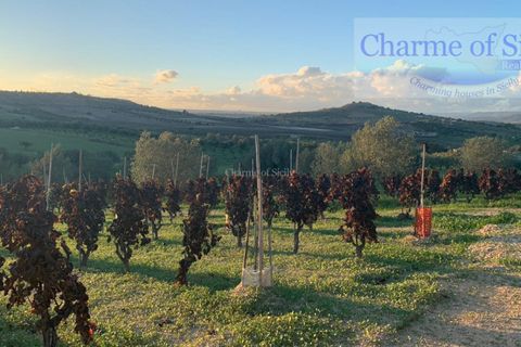 Helårsgrund i Noto, Siracusa, Noto - € 70.000 | Ref: SC 19 - foto 16