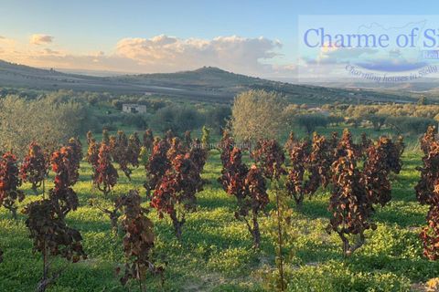 Helårsgrund i Noto, Siracusa, Noto - € 70.000 | Ref: SC 19 - foto 17