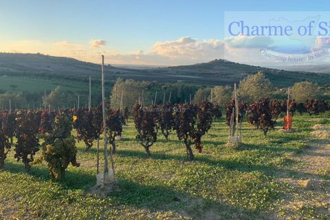 Helårsgrund i Noto, Siracusa, Noto - € 70.000 | Ref: SC 19 - foto 18
