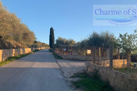 Helårsgrund i Noto, Siracusa, Noto - € 70.000 | Ref: SC 19 - foto 19