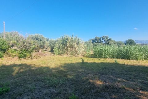 Terra a Milazzo, Messina, Milazzo - € 190.000 | Ref: TA002 - foto 2