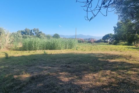 Terra a Milazzo, Messina, Milazzo - € 190.000 | Ref: TA002 - foto 3