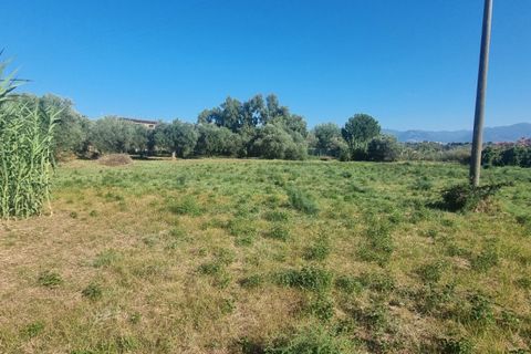 Terra a Milazzo, Messina, Milazzo - € 190.000 | Ref: TA002 - foto 4