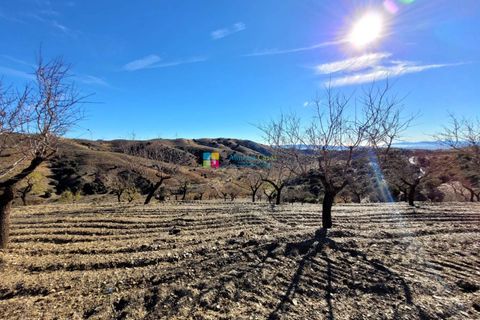 Helårsgrund i Velez-Rubio, Almeria, Velez-Rubio - € 54.500 | Ref: 2507 - foto 10