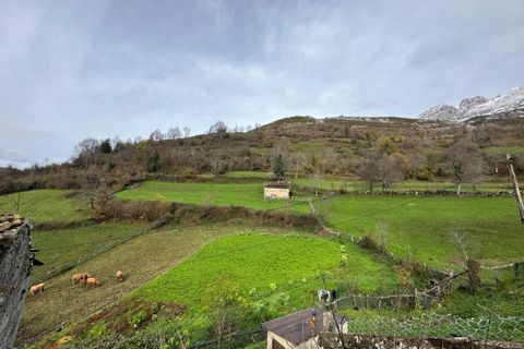 Villa a Aller, Asturias, Aller - € 15.000 | Ref: QPE00264/10606 - foto 11