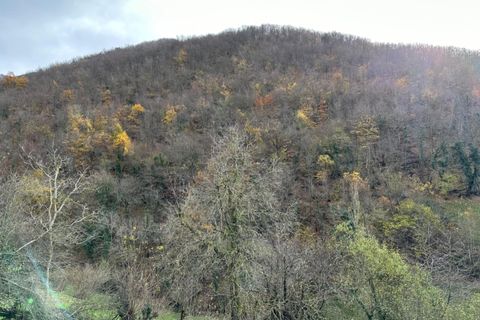 Villa a Aller, Asturias, Aller - € 15.000 | Ref: QPE00264/10606 - foto 22