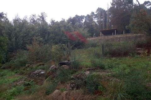 Helårsgrund i Ponte de Lima, Viana do Castelo, Ponte de Lima - € 18.000 | Ref: PTL-1151-AD-1223 - foto 1