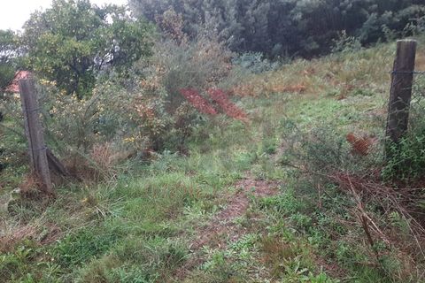 Helårsgrund i Ponte de Lima, Viana do Castelo, Ponte de Lima - € 18.000 | Ref: PTL-1151-AD-1223 - foto 3