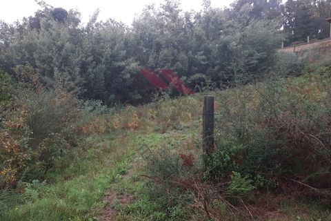 Helårsgrund i Ponte de Lima, Viana do Castelo, Ponte de Lima - € 18.000 | Ref: PTL-1151-AD-1223 - foto 5
