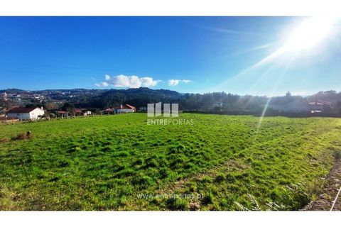 Tomt i Formariz e Ferreira, Viana do Castelo, Formariz e Ferreira - € 149 000 | Ref: VCM14099 - foto 19