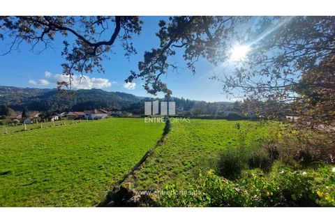 Tomt i Formariz e Ferreira, Viana do Castelo, Formariz e Ferreira - € 149 000 | Ref: VCM14099 - foto 22