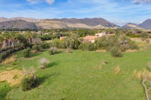 Herregård i Pollenca, Mallorca, Pollenca - € 2 995 000 | Ref: POL5011 - foto 31