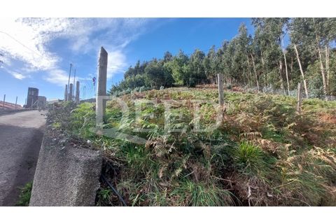 Terra a Camacha, Madeira, Camacha - € 160.000 | Ref: DEED/793 - foto 2