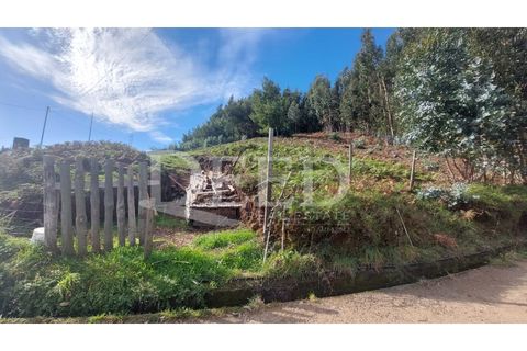 Terra a Camacha, Madeira, Camacha - € 160.000 | Ref: DEED/793 - foto 4