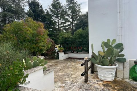 Villa a Cisternino, Brindisi, Cisternino - € 130.000 | Ref: 249 - foto 3