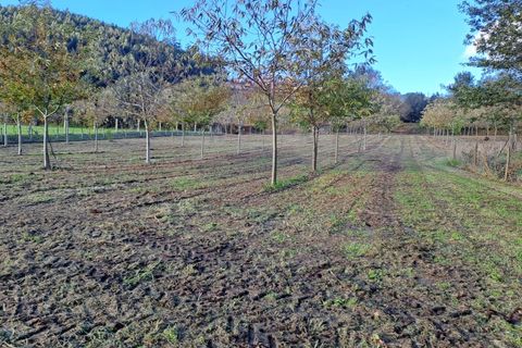 Helårsgrund i Arcos de Valdevez, Viana do Castelo, Arcos de Valdevez - € 47.000 | Ref: 1084-19 - foto 1