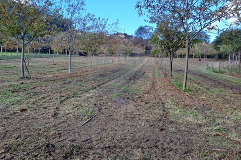Helårsgrund i Arcos de Valdevez, Viana do Castelo, Arcos de Valdevez - € 47.000 | Ref: 1084-19 - foto 2