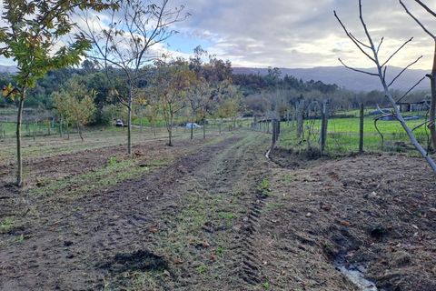 Helårsgrund i Arcos de Valdevez, Viana do Castelo, Arcos de Valdevez - € 47.000 | Ref: 1084-19 - foto 7