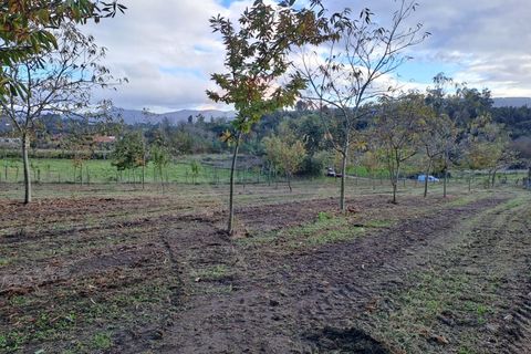 Helårsgrund i Arcos de Valdevez, Viana do Castelo, Arcos de Valdevez - € 47.000 | Ref: 1084-19 - foto 8