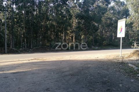 Helårsgrund i Braga, Braga, Braga - € 250.000 | Ref: ZMPT545975 - foto 11