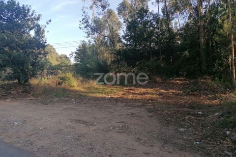 Helårsgrund i Braga, Braga, Braga - € 250.000 | Ref: ZMPT545975 - foto 2