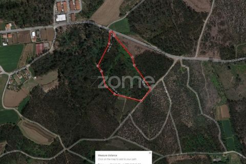 Helårsgrund i Braga, Braga, Braga - € 250.000 | Ref: ZMPT545975 - foto 3