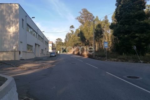Helårsgrund i Braga, Braga, Braga - € 250.000 | Ref: ZMPT545975 - foto 14