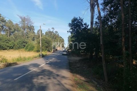 Helårsgrund i Braga, Braga, Braga - € 250.000 | Ref: ZMPT545975 - foto 6