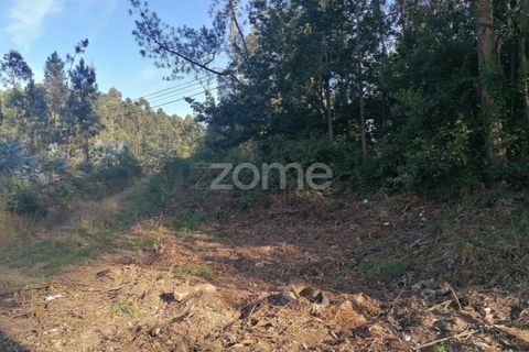 Helårsgrund i Braga, Braga, Braga - € 250.000 | Ref: ZMPT545975 - foto 7