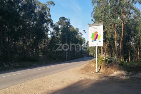 Helårsgrund i Braga, Braga, Braga - € 250.000 | Ref: ZMPT545975 - foto 8