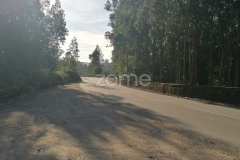 Helårsgrund i Braga, Braga, Braga - € 250.000 | Ref: ZMPT545975 - foto 9