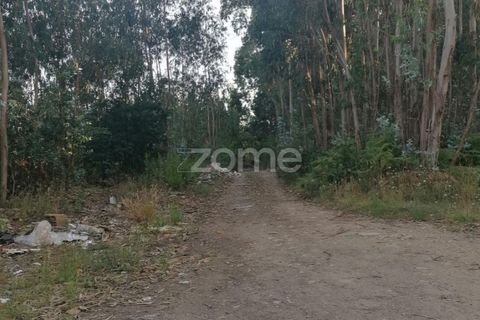 Helårsgrund i Braga, Braga, Braga - € 250.000 | Ref: ZMPT545975 - foto 10