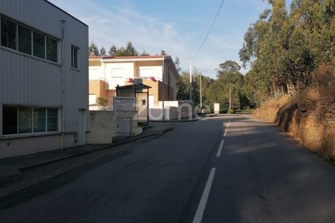 Helårsgrund i Braga, Braga, Braga - € 250.000 | Ref: ZMPT545975 - foto 13