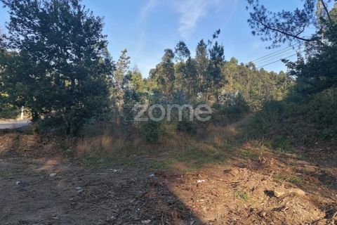 Grond in Braga, Braga, Braga - € 250.000 | Ref: ZMPT545975 - foto 9