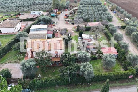 Landejendom i Capalbio, Grosseto, Capalbio - € 1.200.000 | Ref: V-0007 - foto 3
