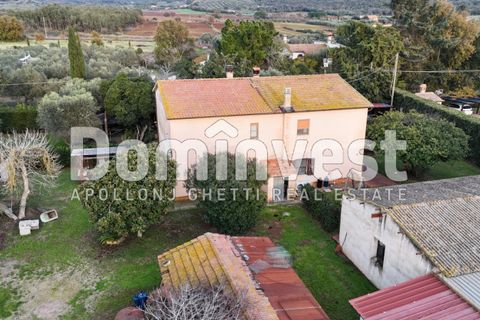 Landejendom i Capalbio, Grosseto, Capalbio - € 1.200.000 | Ref: V-0007 - foto 4