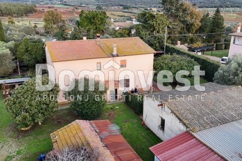 Landejendom i Capalbio, Grosseto, Capalbio - € 1.200.000 | Ref: V-0007 - foto 5