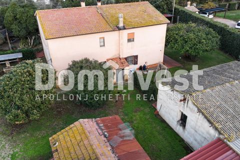 Landejendom i Capalbio, Grosseto, Capalbio - € 1.200.000 | Ref: V-0007 - foto 6