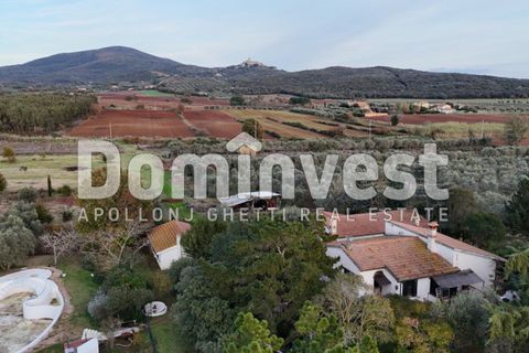 Landejendom i Capalbio, Grosseto, Capalbio - € 1.200.000 | Ref: V-0007 - foto 8