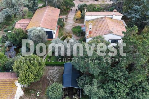 Landejendom i Capalbio, Grosseto, Capalbio - € 1.200.000 | Ref: V-0007 - foto 9