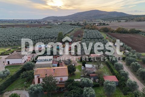 Landejendom i Capalbio, Grosseto, Capalbio - € 1.200.000 | Ref: V-0007 - foto 1