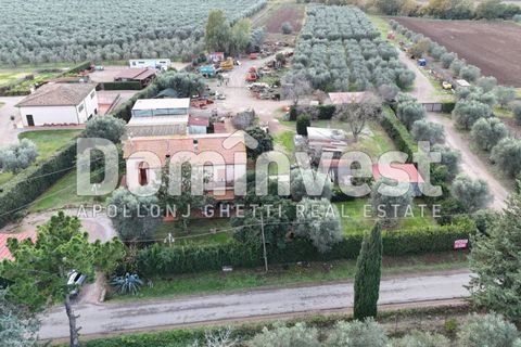 Landejendom i Capalbio, Grosseto, Capalbio - € 1.200.000 | Ref: V-0007 - foto 2