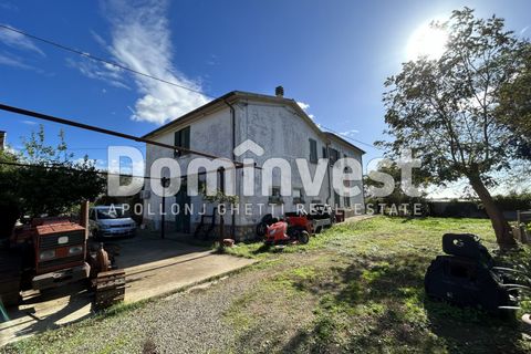 Landejendom i Capalbio, Grosseto, Capalbio - € 1.800.000 | Ref: V-0008 - foto 1