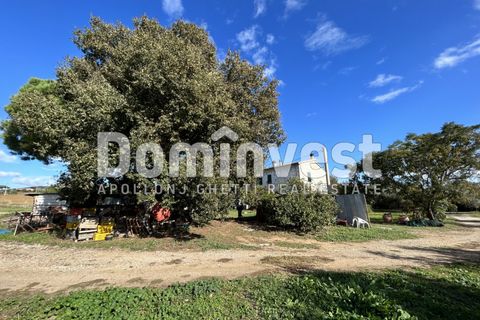 Landejendom i Capalbio, Grosseto, Capalbio - € 1.800.000 | Ref: V-0008 - foto 3