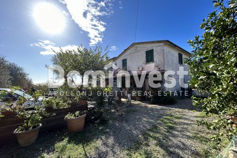 Landejendom i Capalbio, Grosseto, Capalbio - € 1.800.000 | Ref: V-0008 - foto 4