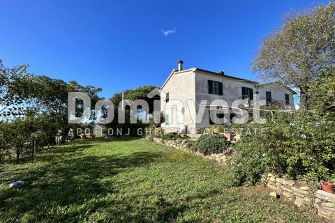 Landejendom i Capalbio, Grosseto, Capalbio - € 1.800.000 | Ref: V-0008 - foto 5