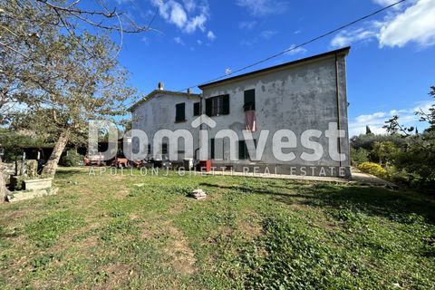 Landejendom i Capalbio, Grosseto, Capalbio - € 1.800.000 | Ref: V-0008 - foto 9