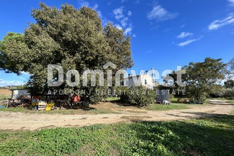 Landejendom i Capalbio, Grosseto, Capalbio - € 1.800.000 | Ref: V-0008 - foto 10